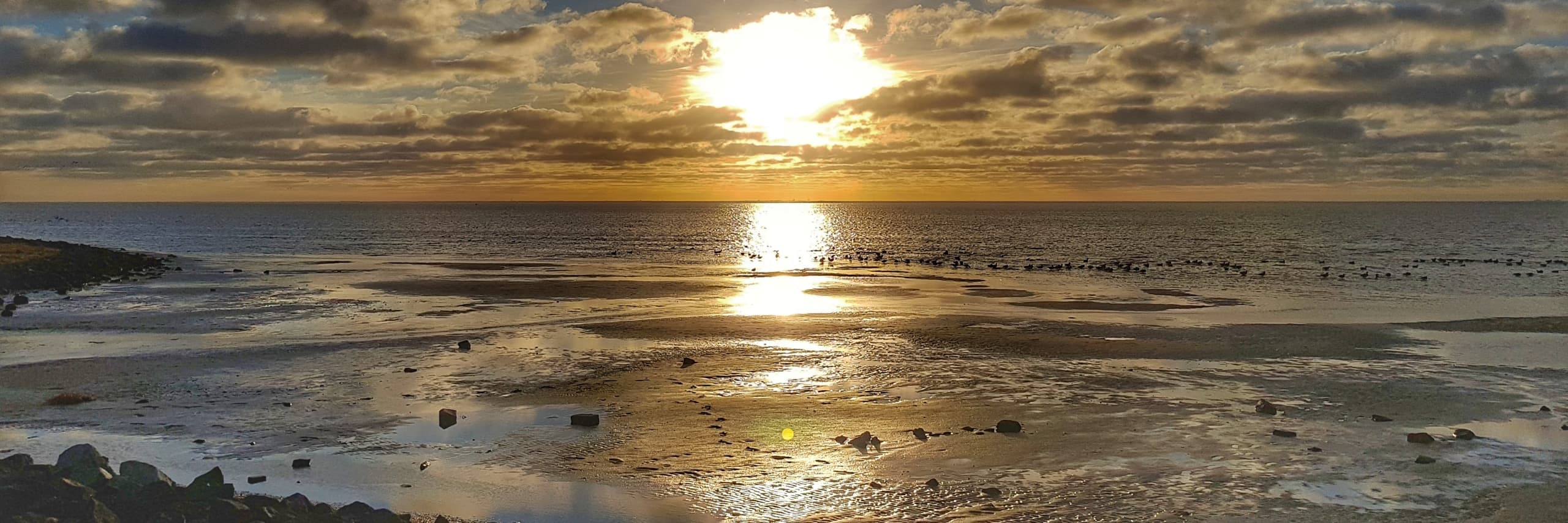 Waddenzee Terschelling